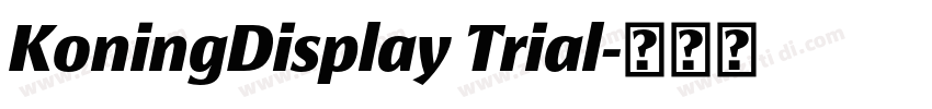 KoningDisplay Trial字体转换
